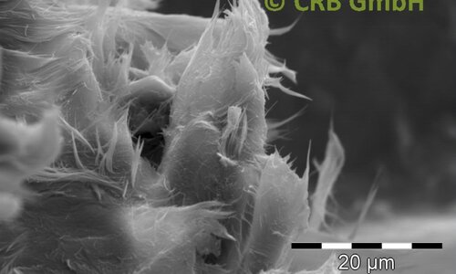 SEM-picture of chrysotile asbestos in asbestos bearing gaskets | © CRB Analyse Service GmbH